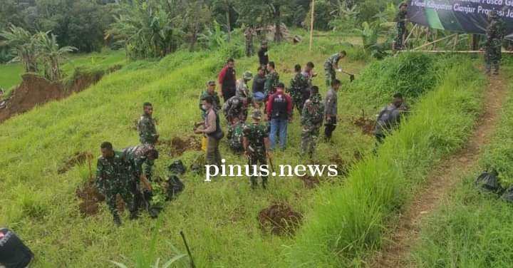 Pulihkan Pasca Gempa, Cianjur Tanam 2000 Bibit Pohon Balsa
