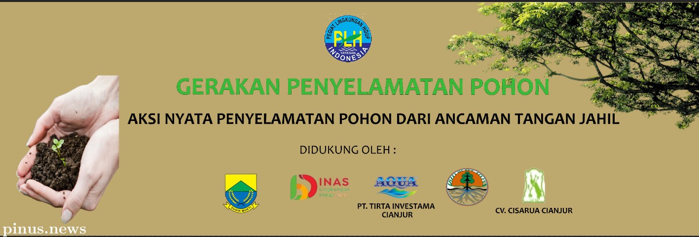 YPLHI Cianjur Akan Lakukan Gerakan Penyelamatan Pohon dari Pemasangan Alat Peraga Kampanye