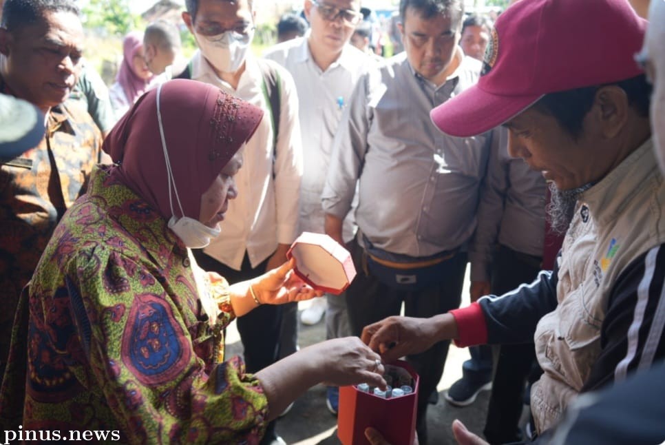 Rebranding Minyak Kayu Putih: Langkah Menteri Sosial untuk Tingkatkan Pendapatan Penerima Bantuan So