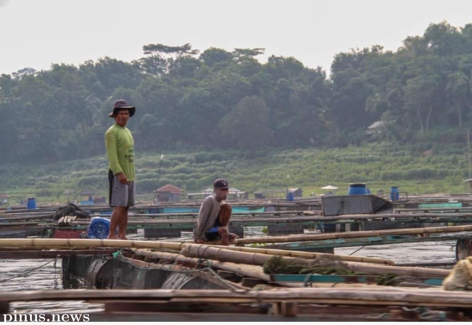 Bey Machmudin Pantau Penertiban Keramba Jaring Apung di Kawasan Waduk Cirata 
