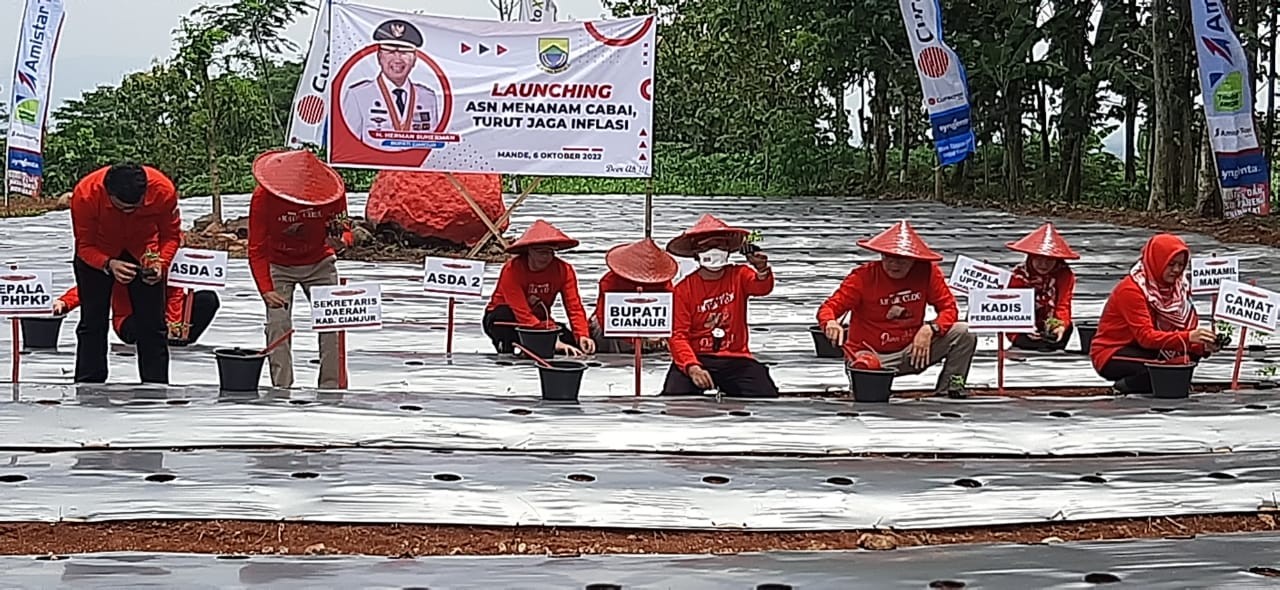 Turut Jaga Inflasi, Pejabat Cianjur Tanam Cabai