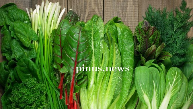 sayur.jpg