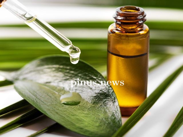 tea_tree.jpg